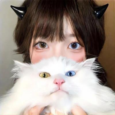飓风行动